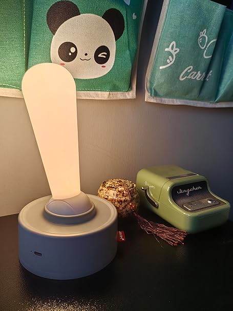 wall mount light